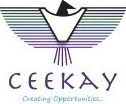 Ceekay Logistics logo